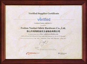 德国莱恩机构实地认证