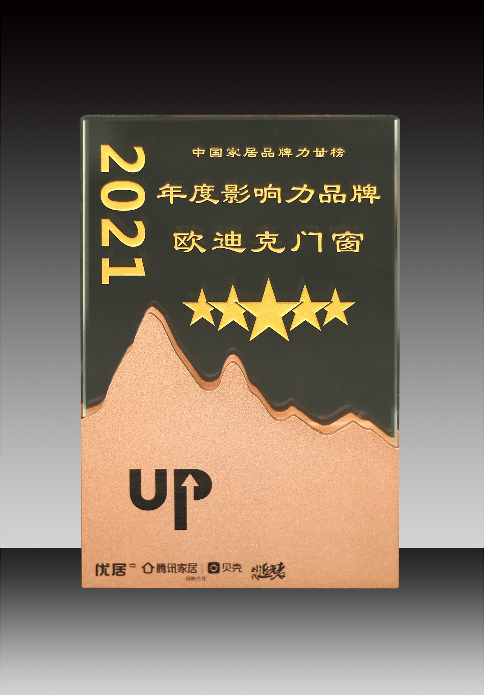 2021年度影响力品牌