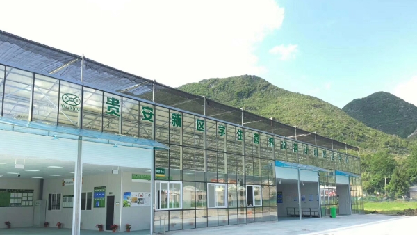 电子游艺网址