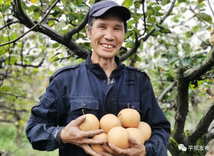 电子游艺网址
