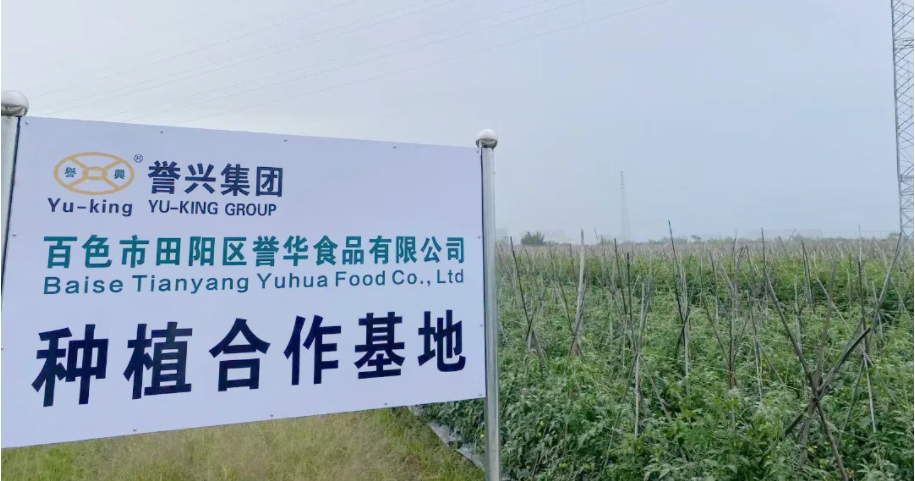 电子游艺网址
