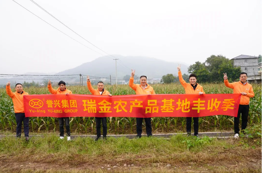 电子游艺网址